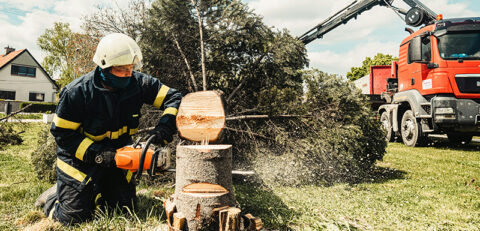 Tree-Removal