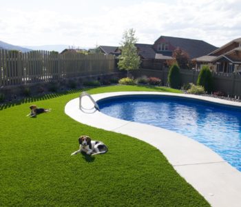 artificialgrass-10