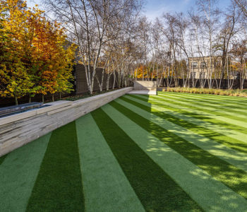 artificialgrass-3